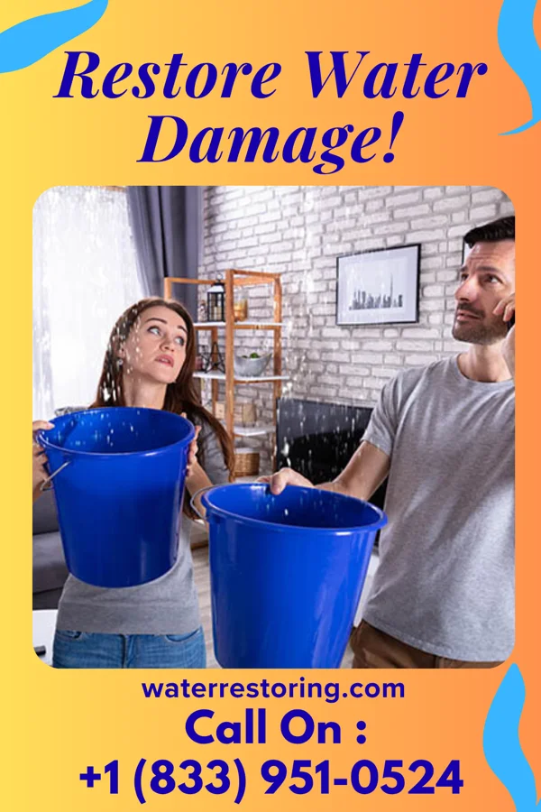 water restoration Best Damage Recovery Contractors Kirkville