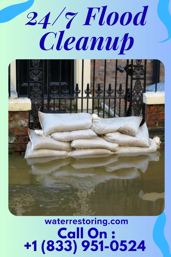 24/7 Flood Cleanup in Kirkville, MS