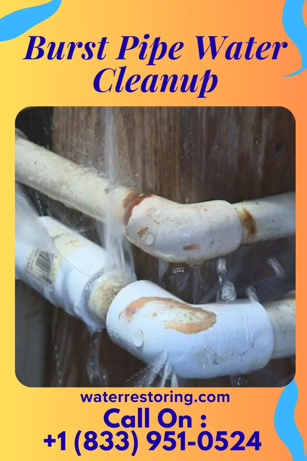 Burst Pipe Water Cleanup in Kirkville, MS