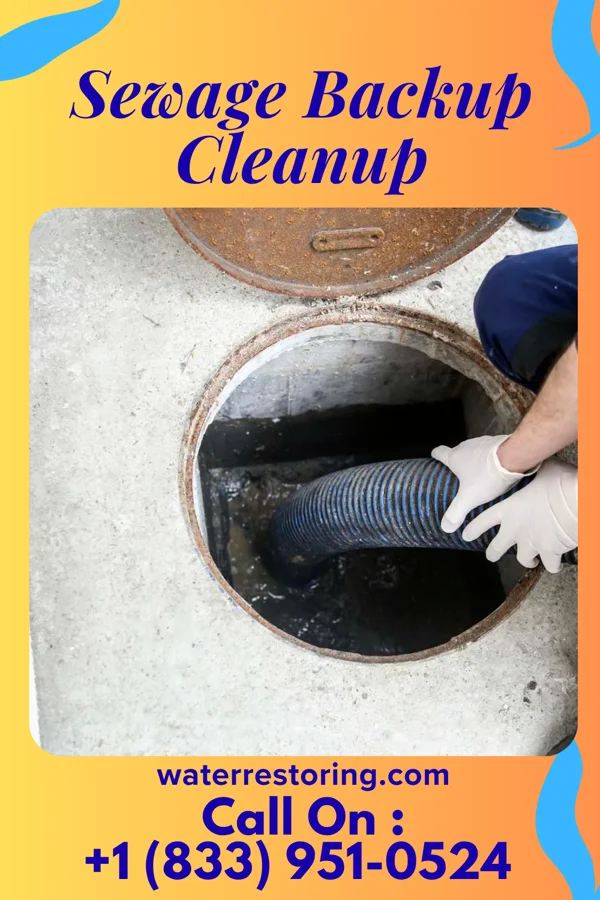 Sewage Backup Cleanup in Kirkville, MS
